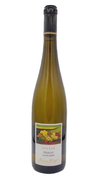 Muscat d'Alsace Kappellreben