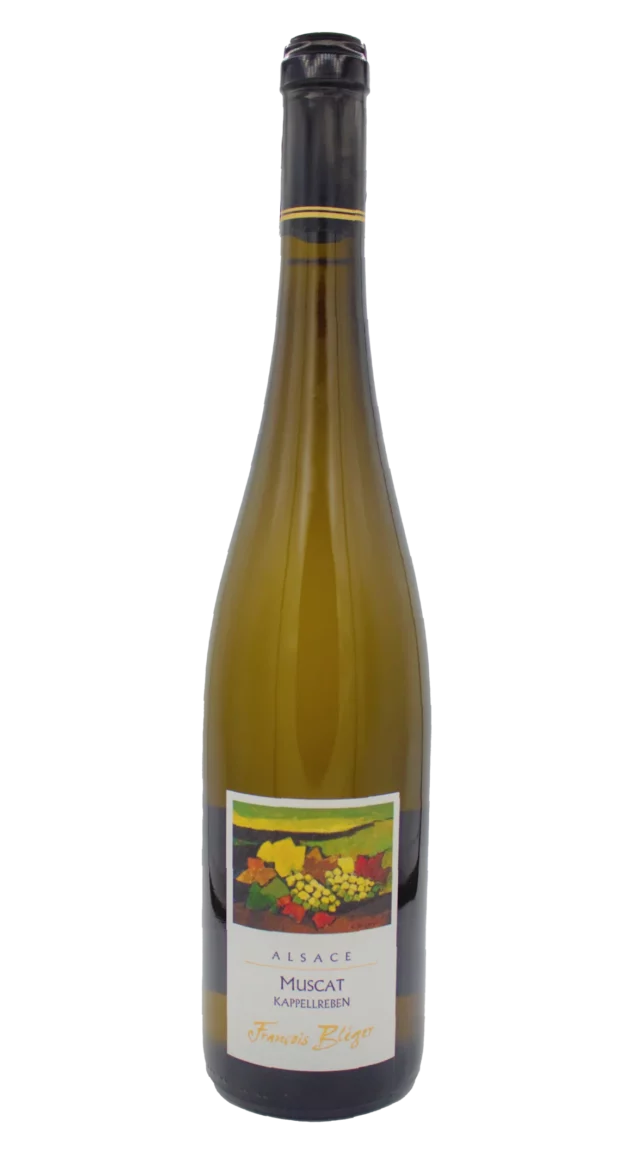 Muscat d'Alsace Kappellreben